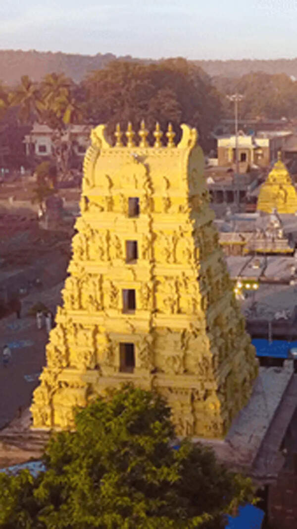Mallikarjuna Stills