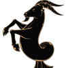 Capricorn