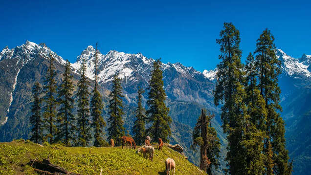 These beautiful photos from Parvati Valley will leave you speechless