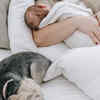 Your pet licks your cosmetics