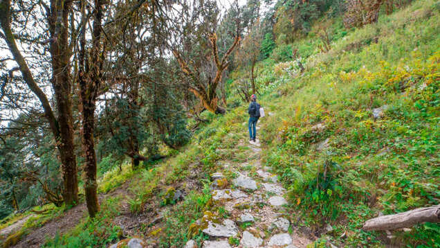 Sarmoli village in Munsiyari is true ecotourism &ndash; here&rsquo;s why