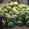 Look for no-holed watermelon