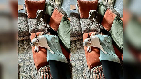 <strong>Bonding with furry companions</strong>