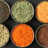 Lentils
