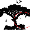 ​If you see the lion first​