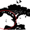 ​If you see the gorilla first​