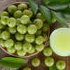 Article image for: <i class="tbold">amla</i>