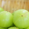 Article image for: <i class="tbold">amla</i>