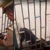 Article image for: Viral: Dog stuck in a school gate, saved by cop in Agra