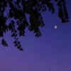 Article image for: For those who desire to see the Taj Mahal at night can now obtain tickets online.