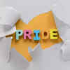 Purpose and Pride