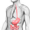 ​​Hoarse voice:​