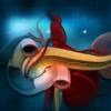 ​What are the risk factors for pancreatic cancer?​