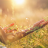 ​​Mindfulness Practice:​
