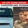 Article image for: Who was <i class="tbold">Anil Dujana</i>? Know why his name was in the UP govt's released list
