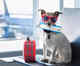Akasa Air increases weight limit for pet carriage from 7 kg to 10 kg