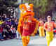 Malaysia, China together nominate the famous Lion Dance for UNESCO Cultural Heritage List