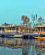 Dal Lake’s century-old houseboats to get a makeover!