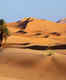 Desert life: Arabian nights at the Empty Quarter