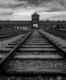 What to expect on your visit to Auschwitz?