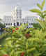 Ujjayanta Palace in Agartala to be transformed into a weekend tourism hub