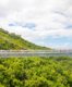 India gets its longest glass bridge in Vagamon, Kerala!