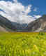 Visiting Sonmarg in Kashmir this May