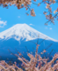Japan: Online booking system introduced to tackle overcrowding on Mount Fuji trail