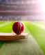 A spotlight on T20 Cricket World Cup host cities in the USA