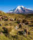 Exploring the premier hiking destinations on Chimborazo Day