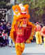 Malaysia, China together nominate the famous Lion Dance for UNESCO Cultural Heritage List