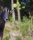 'Mainland Serow’, an elusive mammal, spotted in Assam’s Raimona National Park