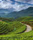 5 things that will make you fall in love with Munnar instantly