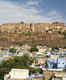 Why is Jodhpur Known as the Blue City?