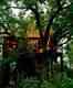 Charming treehouses in India you should definitely stay in