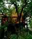 Tree House Hideaway, Bandhavgarh