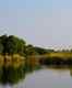 Biodiversity of the Okavango River Delta