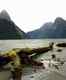 Southern Alps via the Milford Track