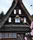 The historic villages of Shirakawa and Gokayama