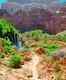 Havasu Canyon