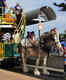 Horse-drawn trams of Victor Harbor