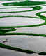 Loktak: the world’s only floating lake