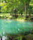 Jackson Blue Spring