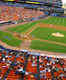 Shea Stadium