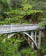 Bridge to Nowhere in Whanganui National Park