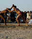 Kushti (Wrestling)