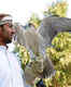 Abu Dhabi Falcon Hospital