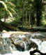 Kanching Rainforest Waterfalls