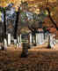 Mount Auburn Cemetery