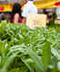 Lincoln Park Farmers Market
